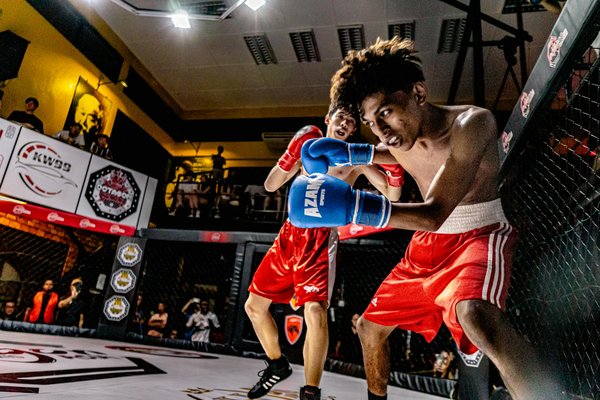 Discover top road bikes to enhance your cycling journey